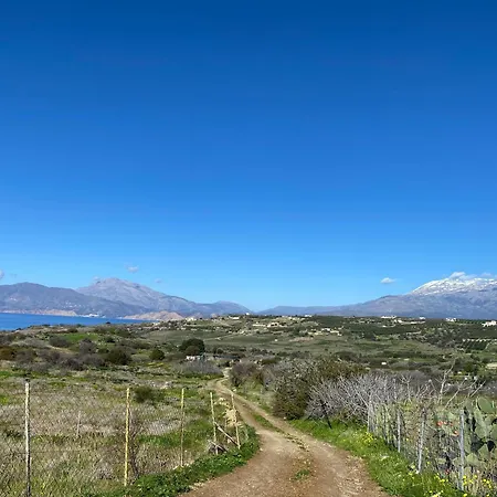 Komos View Appartement Pitsidia